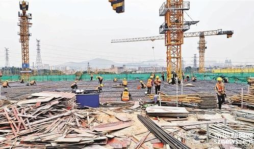 海吉星農產品光明物流園項目全面恢復生產建設工作