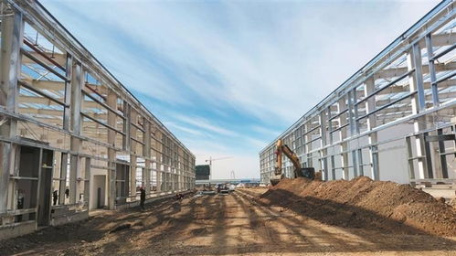 新疆生產建設兵團 園區建設 項目施工一隅