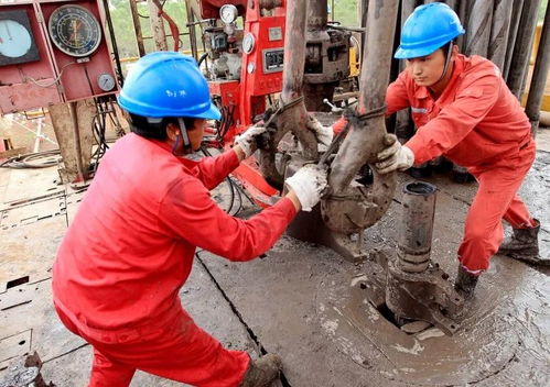 黨代會專題報道一 市場開發全方位發力 布局優化成效顯著