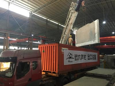 "遠大美宅"成套別墅首次出口歐洲