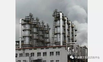 3 中冶建工五公司重慶珞璜污泥處置中心工程土建施工勞務分包